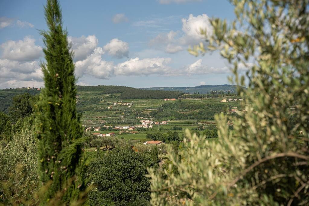 Monolocale Moderno Valpolicella Verona - Agni San Pietro in Cariano Luaran gambar